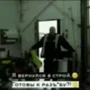 Тонилайф :: @fStikBot 12