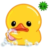 Duck 26