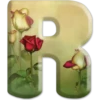 💞 ABCDARIO 💞1377💞 24