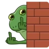 Concerned Froge 22