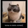 basicss but video 23