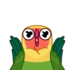 Lovebirds 18