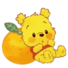 WINNIE POOH CITRUS  BLANCA AT 23