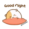 Hamster Bean 10