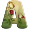 💞 ABCDARIO 💞1377💞 27