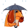 Salchicha Dog 20