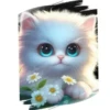 Gatitos tiernos💞3🇵🇪Movi 30