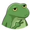 Concerned Froge 25
