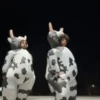 vaca bailando 😎 12
