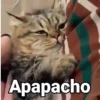Apapacho