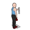 GYM TREINO ACADEMIA 10