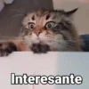 Interesante