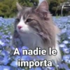 A nadie le importa