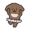 Cute 💓 🐶Dogs .mov 6