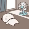 calor 5