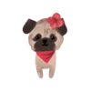 Cute 💓 🐶Dogs .mov 7