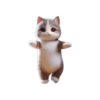 🐱🐈 DaNcInG CaT 🐈🐱 5