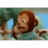 pack gifs 10