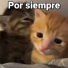 Por siempre