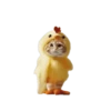 🐱🐈 DaNcInG CaT 🐈🐱 6