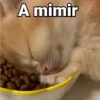 A mimir