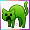 Gatos coloridos💞1🇵🇪Movi 10