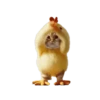 🐱🐈 DaNcInG CaT 🐈🐱 9