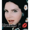 Coqueta memes 6