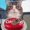 Gatos😺💞6🇵🇪Movi 10