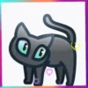Gatos coloridos💞1🇵🇪Movi 11