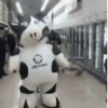 vaca bailando 😎 20