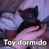 Toy dormido