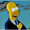 The Simpson 15