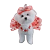Cute 💓 🐶Dogs .mov 14