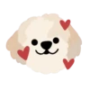 Cute 💓 🐶Dogs .mov 15