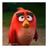 Meme Angry birds 💢😅 5