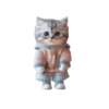 🐱🐈 DaNcInG CaT 🐈🐱 10