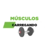 GYM TREINO ACADEMIA 14