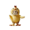 🐱🐈 DaNcInG CaT 🐈🐱 11