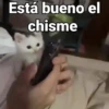 Está bueno el chisme