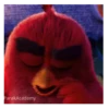 Meme Angry birds 💢😅 7