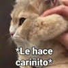 *Le hace cariñito*