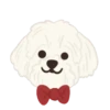 Cute 💓 🐶Dogs .mov 16