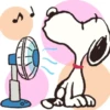 Calor ☀️😓🔥 6
