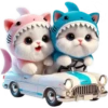Gatitos enamorados💞1🇵🇪Clásica 16