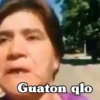 Guaton qlo