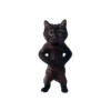 🐱🐈 DaNcInG CaT 🐈🐱 14