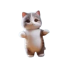 🐱🐈 DaNcInG CaT 🐈🐱 16