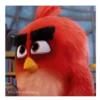 Meme Angry birds 💢😅 11