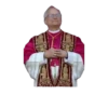 Papa león XIV 20